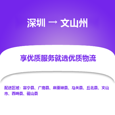 深圳到文山州貨運(yùn)站-上門提貨-一對一服務(wù)