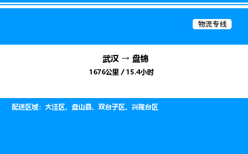 武漢到盤(pán)錦物流專(zhuān)線-武漢至盤(pán)錦貨運(yùn)公司