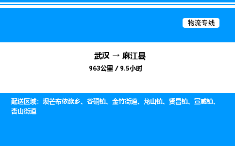 武漢到麻江縣物流專(zhuān)線(xiàn)-武漢至麻江縣貨運(yùn)公司