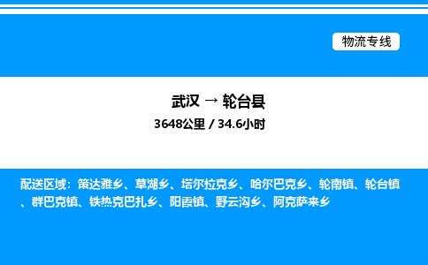 武漢到輪臺縣物流專線-武漢至輪臺縣貨運(yùn)公司